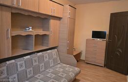 Garsoniera o camere, 24 mp, Micro 17
