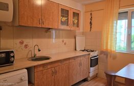 Garsoniera o camere, 24 mp, Micro 17