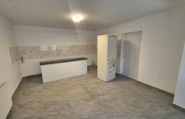 Casa cu 3 camere de , 200 mp, teren 3286 mp, localitatea Jankmajtis, Ungaria
