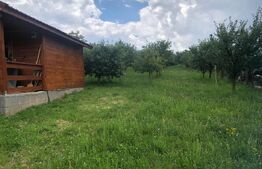 Teren de vânzare cu cabana și livada, 1300 mp, zona Viile Satu Mare