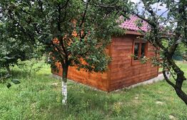Teren de vânzare cu cabana și livada, 1300 mp, zona Viile Satu Mare