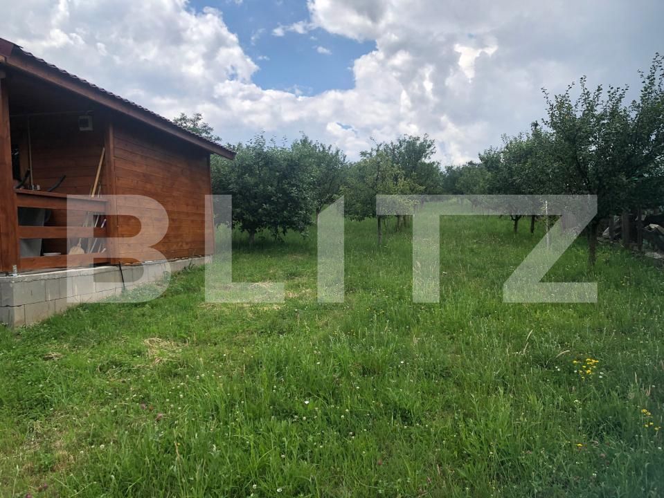 Teren de vânzare Viile Satu Mare - 198472TV | BLITZ Satu Mare | Poza2