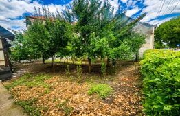 Casa cu 2 camere de vanzare, 50 mp, teren 335 mp, strada Mara, zona Piata Mica 