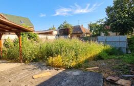 Casa cu 2 camere de vanzare, 50 mp, teren 335 mp, strada Mara, zona Piata Mica 