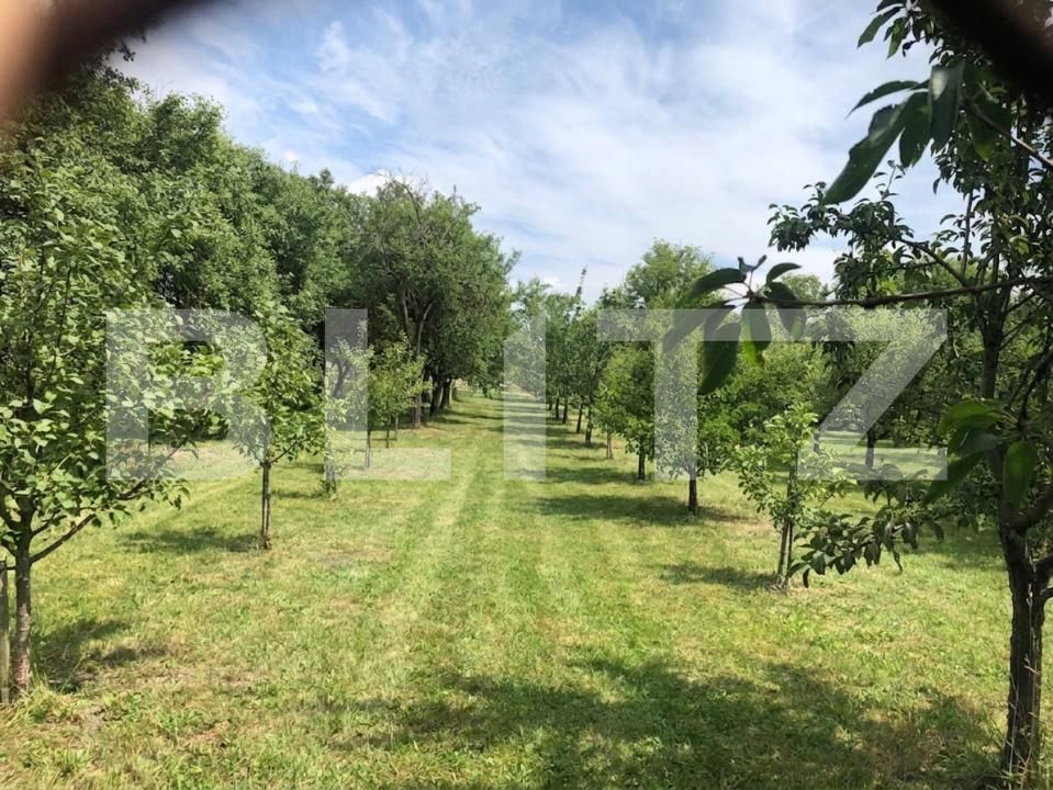 Casa de vânzare 4 camere Culciu Mare - 198687CV | BLITZ Satu Mare | Poza11