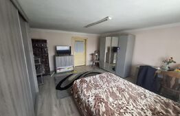 Casa cu 2 camere, 97 mp, zona Ardud