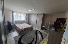 Casa cu 2 camere, 97 mp, zona Ardud