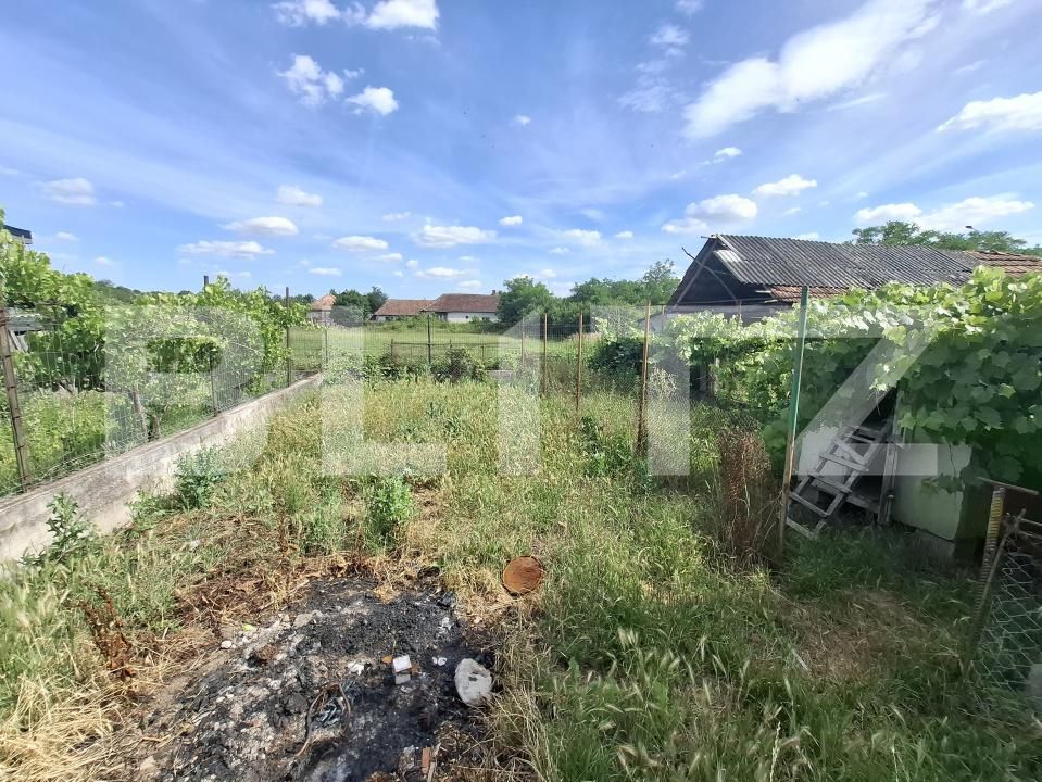 Casa de vânzare 2 camere Ardud - 198689CV | BLITZ Satu Mare | Poza4