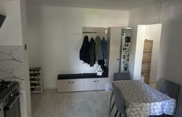 Apartament 3 camere, 70 mp, zona Careiului