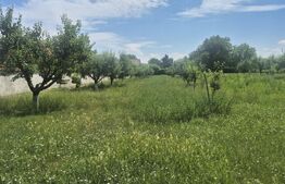 Teren intravilan de vanzare, 5488 mp, localitatea Ambud, comuna Paulesti