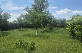 Teren intravilan de vanzare, 5488 mp, localitatea Ambud, comuna Paulesti