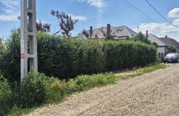 Teren intravilan de vanzare, 5488 mp, localitatea Ambud, comuna Paulesti