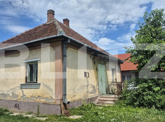 Teren de vânzare Ambud - 198913TV | BLITZ Satu Mare | Poza13