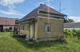 Proprietate de vanzare, teren 5488 mp, localitatea Ambud, comuna Paulesti