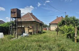 Proprietate de vanzare, teren 5488 mp, localitatea Ambud, comuna Paulesti