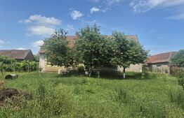 Proprietate de vanzare, teren 5488 mp, localitatea Ambud, comuna Paulesti