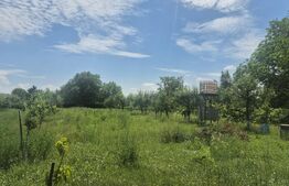 Proprietate de vanzare, teren 5488 mp, localitatea Ambud, comuna Paulesti