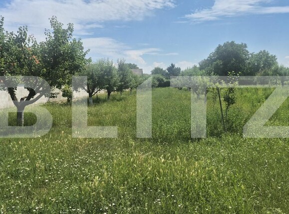 Casa de vânzare 2 camere Ambud - 198922CV | BLITZ Satu Mare | Poza7