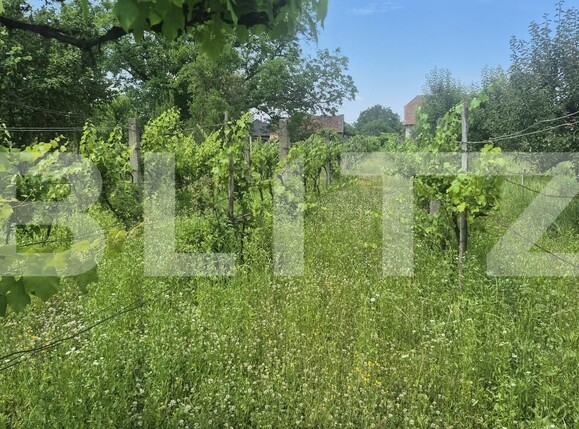 Casa de vânzare 2 camere Ambud - 198922CV | BLITZ Satu Mare | Poza12