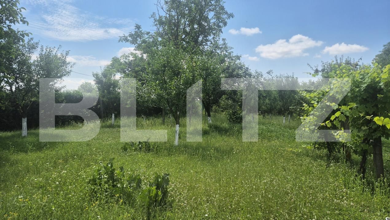 Casa de vânzare 2 camere Ambud - 198922CV | BLITZ Satu Mare | Poza10