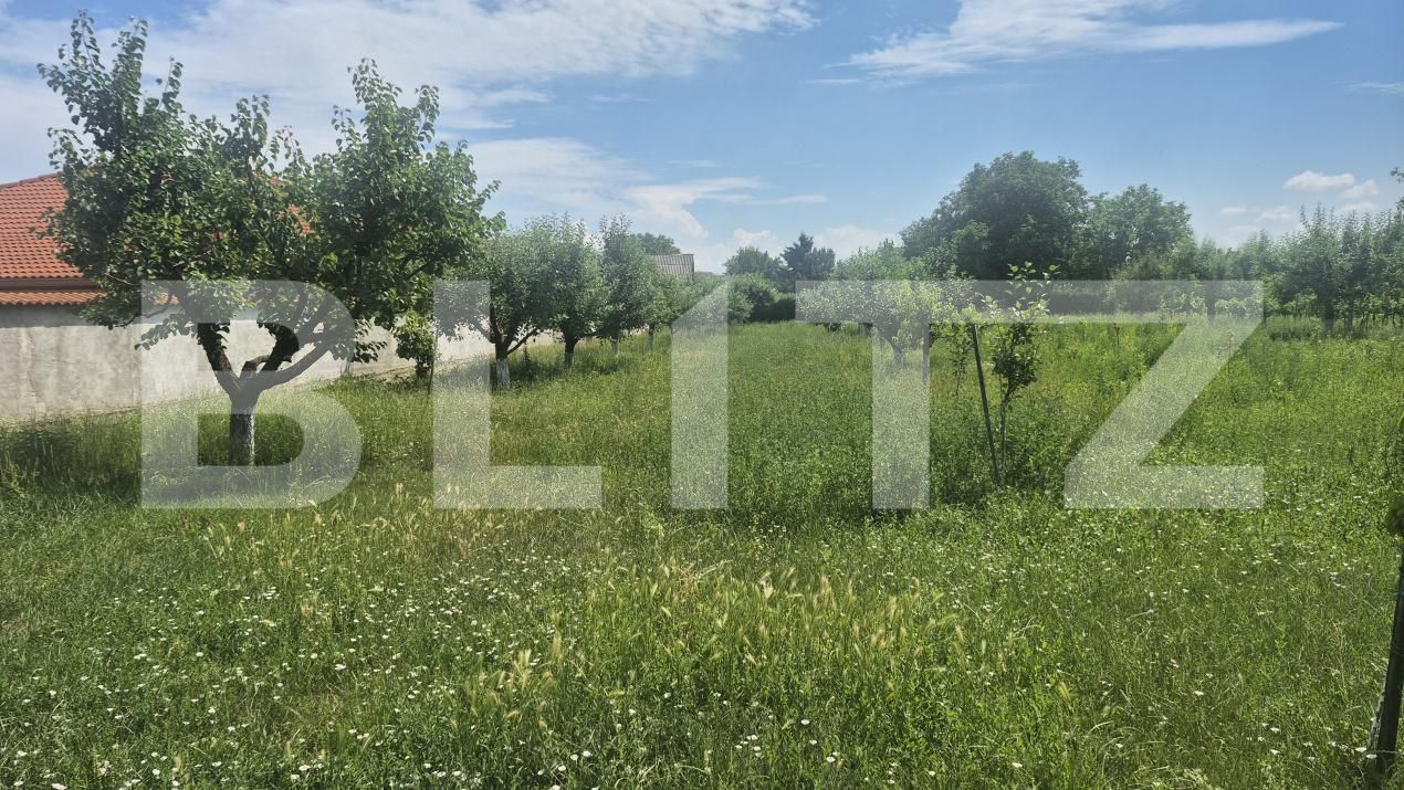 Casa de vânzare 2 camere Ambud - 198922CV | BLITZ Satu Mare | Poza7