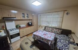 Casa de vanzare, 115.04 mp, 688 mp teren, zona Lucian Blaga
