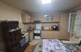 Casa de vanzare, 115.04 mp, 688 mp teren, zona Lucian Blaga