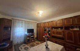 Casa de vanzare, 115.04 mp, 688 mp teren, zona Lucian Blaga