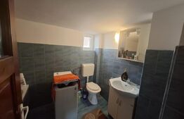 Casa de vanzare, 115.04 mp, 688 mp teren, zona Lucian Blaga