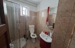 Casa de vanzare, 115.04 mp, 688 mp teren, zona Lucian Blaga