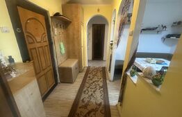 Apartament 2 camere, decomandat, 55 mp, zona Carpați 2