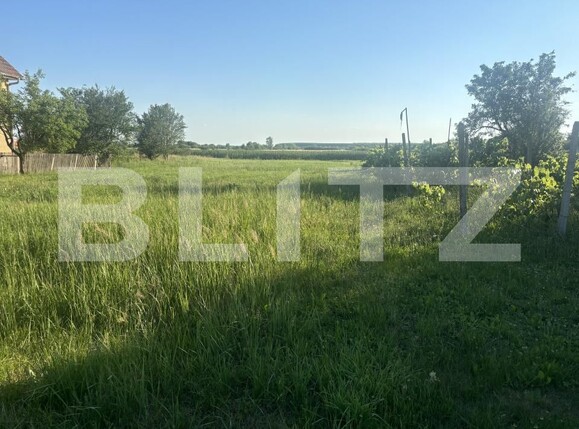 Teren de vânzare Cionchesti - 199064TV | BLITZ Satu Mare | Poza2