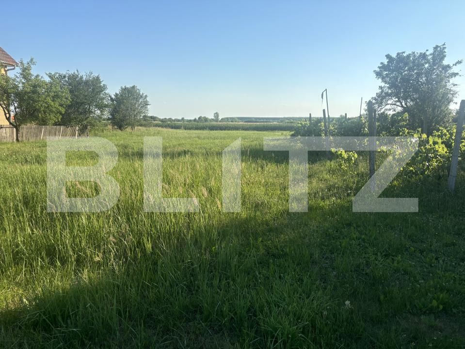Teren de vânzare Cionchesti - 199064TV | BLITZ Satu Mare | Poza2