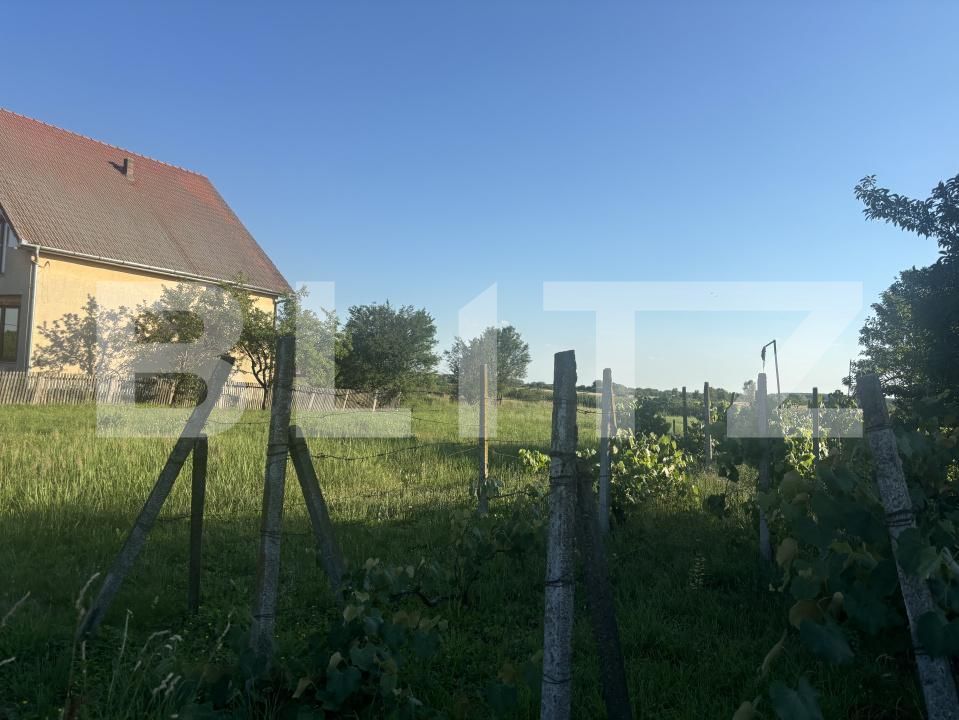 Teren de vânzare Cionchesti - 199064TV | BLITZ Satu Mare | Poza3