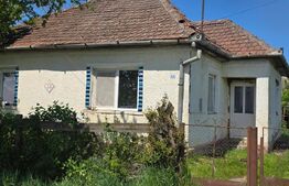 Casa de vânzare 3 camere Sud-Vest - 192371CV | BLITZ Satu Mare | Poza1