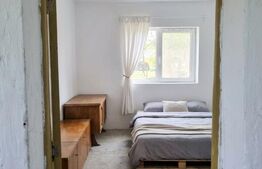 Casă veche 50 mp, teren 1274 mp, două fronturi stradale, zona Vetis