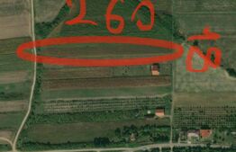 Teren extravilan de vanzare, 4658 mp, localitatea Viile Satu Mare