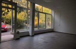 Spațiu comercial de închiriat Vetiş - 206248SIC | BLITZ Satu Mare | Poza2