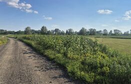 Teren intravilan de vanzare, 3800 mp, zona Titulescu