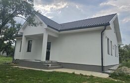 Casa 3 camere, 120 mp, teren 750 mp, Viile Satu Mare