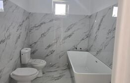 Casa 3 camere, 120 mp, teren 750 mp, Viile Satu Mare