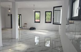 Casa 3 camere, 120 mp, teren 750 mp, Viile Satu Mare