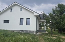 Casa de vânzare 3 camere Nord - 191054CV | BLITZ Satu Mare | Poza4