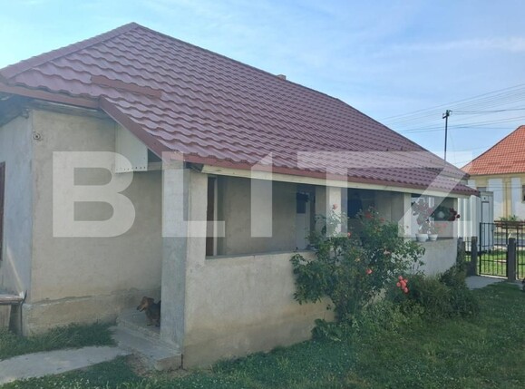 Casa de vânzare 2 camere Caraseu - 199719CV | BLITZ Satu Mare | Poza2