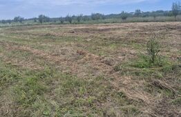 Teren intravilan de vanzare, 1000 mp, zona Martinesti