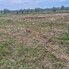 Teren de vânzare Mărtineşti - 199771TV - Poza 1 din 4 | BLITZ Satu Mare | Poza2