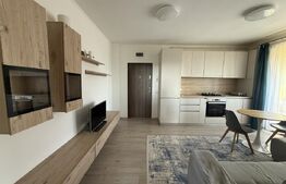 Apartament 2  camere, 42.5 mp ,Zona Odobescu