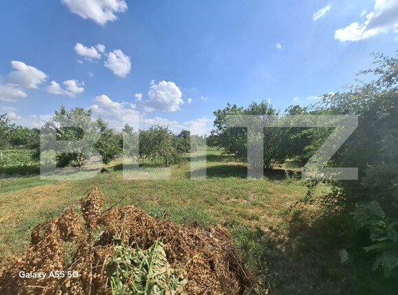 Casa de vânzare 3 camere Lazuri - 199986CV | BLITZ Satu Mare | Poza19