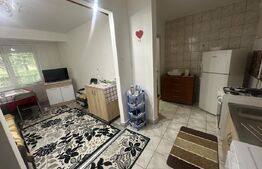 Apartament cu 2 camere, 45 mp, semidecomandat, zona Carpati 1
