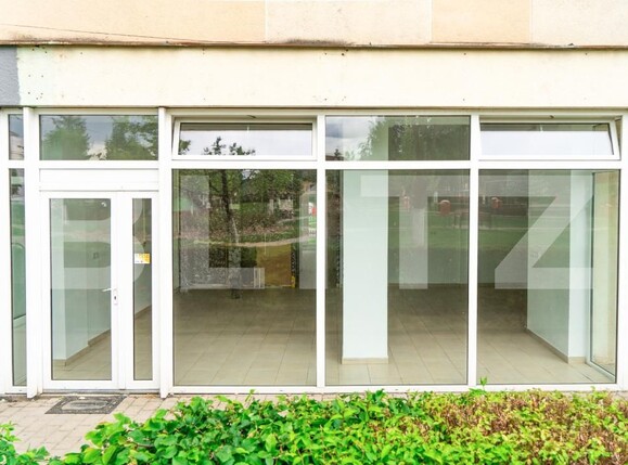Spațiu comercial de închiriat Turt - 200224SIC | BLITZ Satu Mare | Poza2